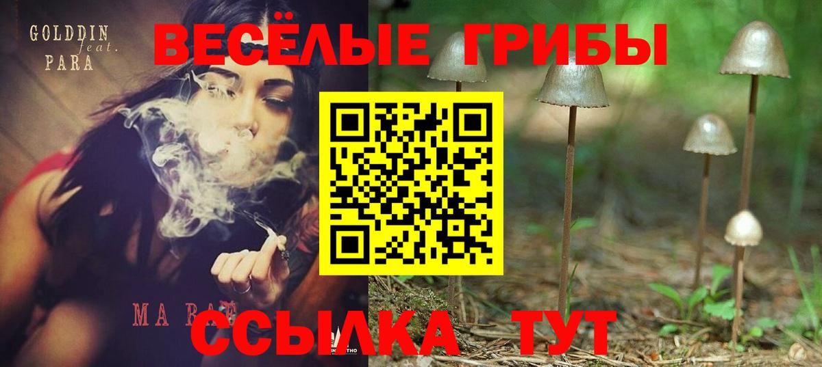 Псилоцибиновые грибы MAGIC MUSHROOMS Электросталь